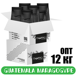 фото кава Опт Гватемала Maragogype 12 кг
