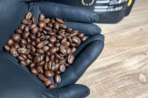 изображение статья Почему свежеобжаренный кофе лучше кофе из супермаркета?