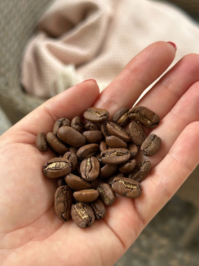 Фото кофе Арабика 100% Гватемала Maragogype