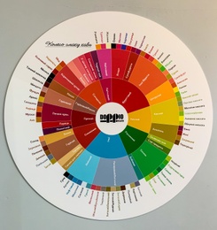 Колесо вкуса (кофейная инфографика) с вашим логотипом