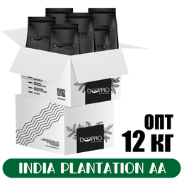 Індія Plantation AA 12 кг (2 ящики кави)