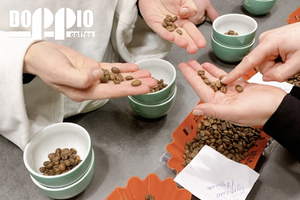 изображение статья Новинка від Doppio: SPECIALTY COFFEE. Що ж це таке?